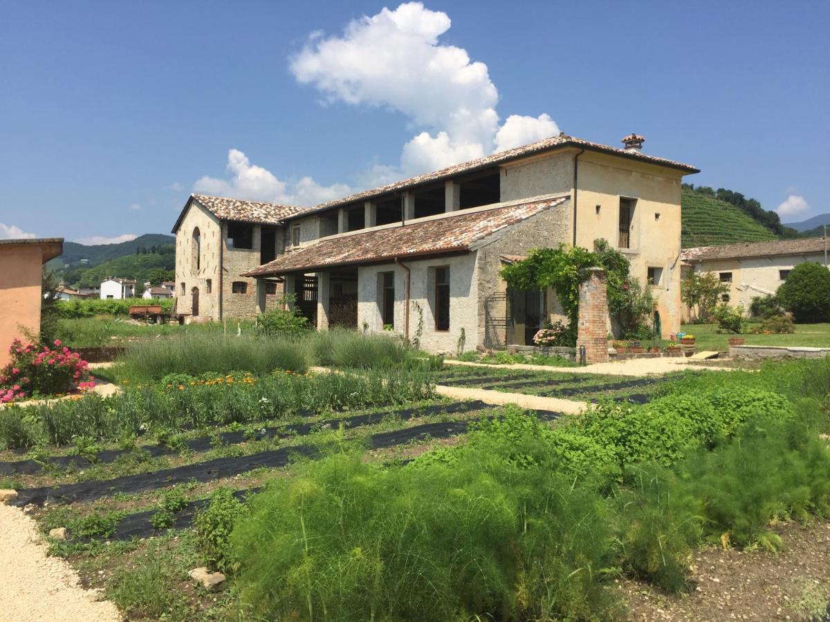 Fiori&Vigne Di Cecilia Marcon Farra di Soligo Exterior foto