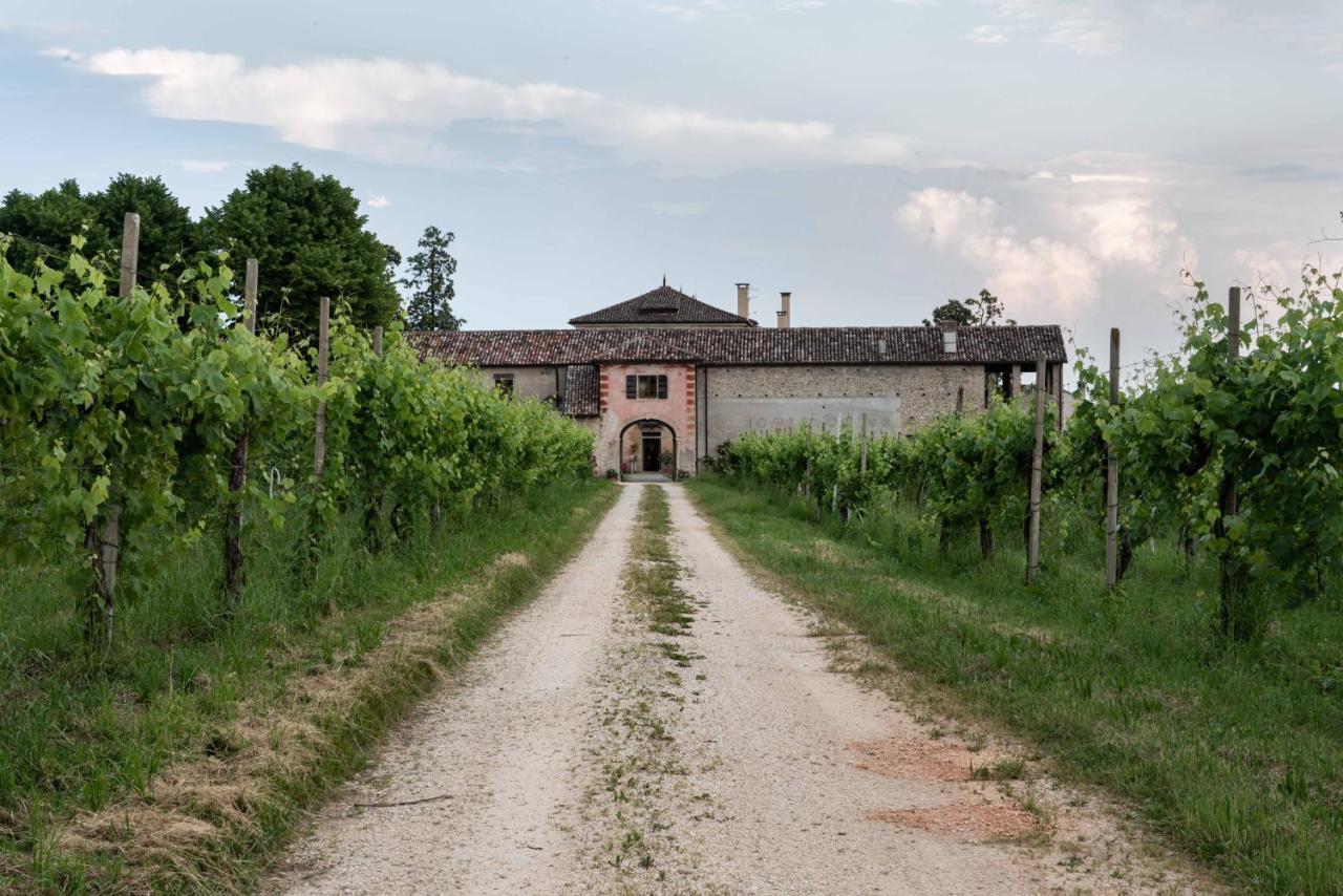 Fiori&Vigne Di Cecilia Marcon Farra di Soligo Exterior foto