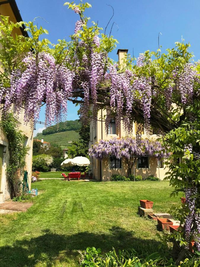 Fiori&Vigne Di Cecilia Marcon Farra di Soligo Exterior foto